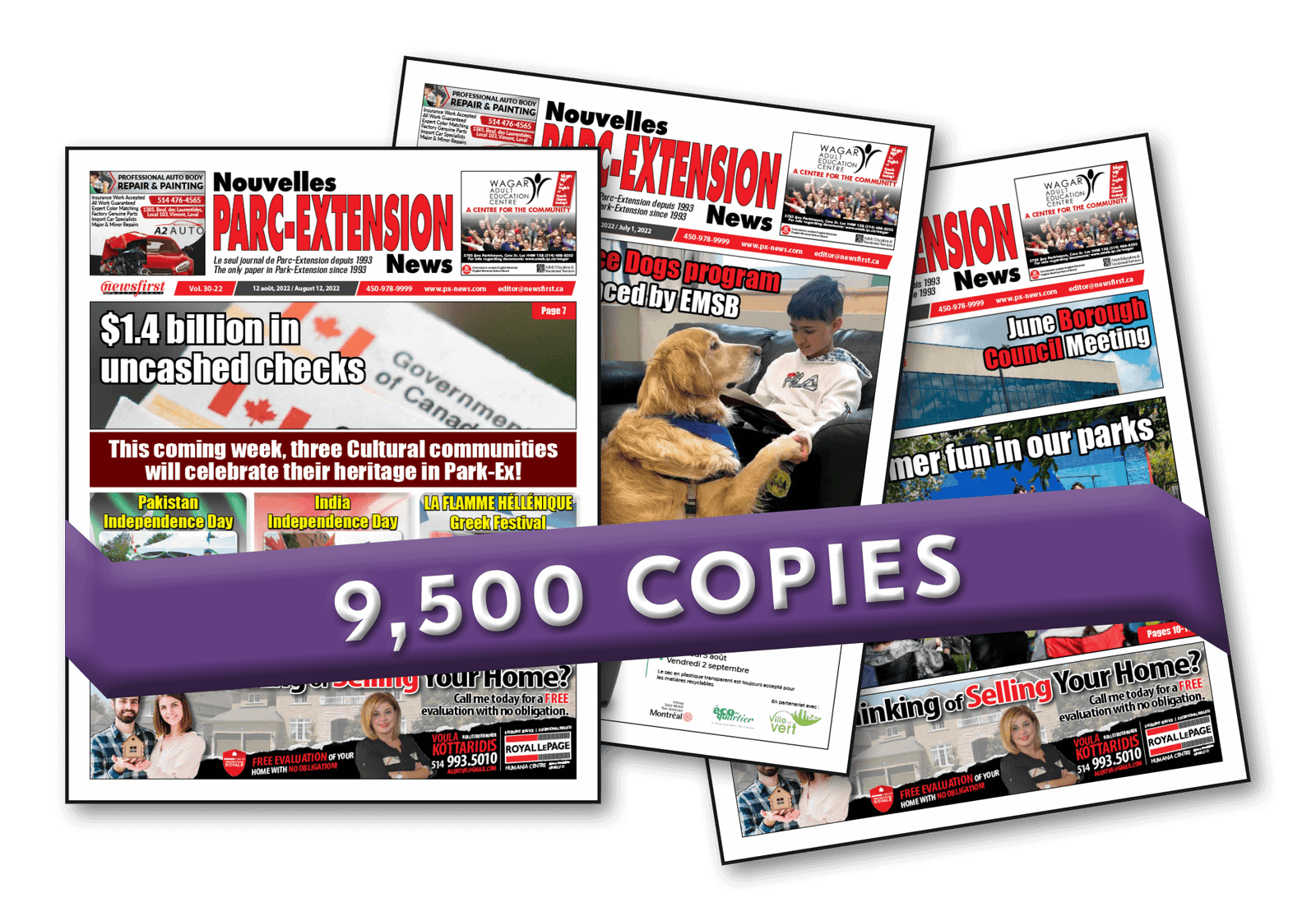 PXN Copies